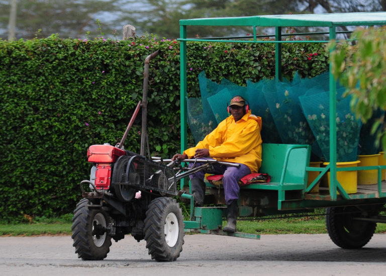 Why More Buyers Are Rethinking Their Flower Sourcing Models