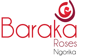 Baraka Roses logo