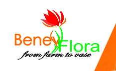 Benev Flora logo