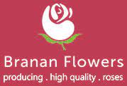 Branan Flowers logo