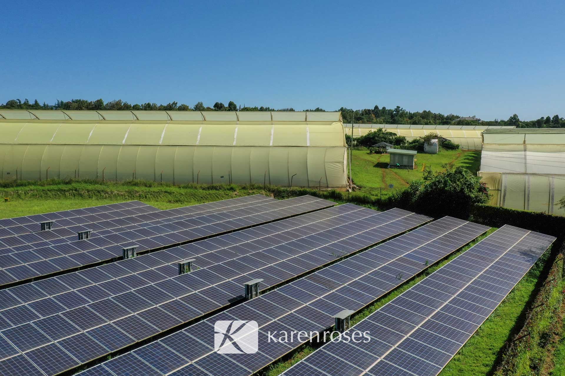 Karen Roses Solar Panels