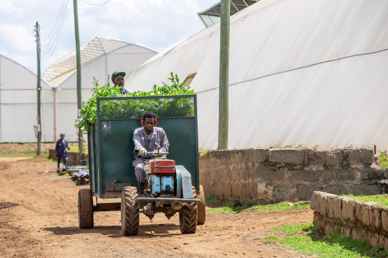 Tractor flower farm