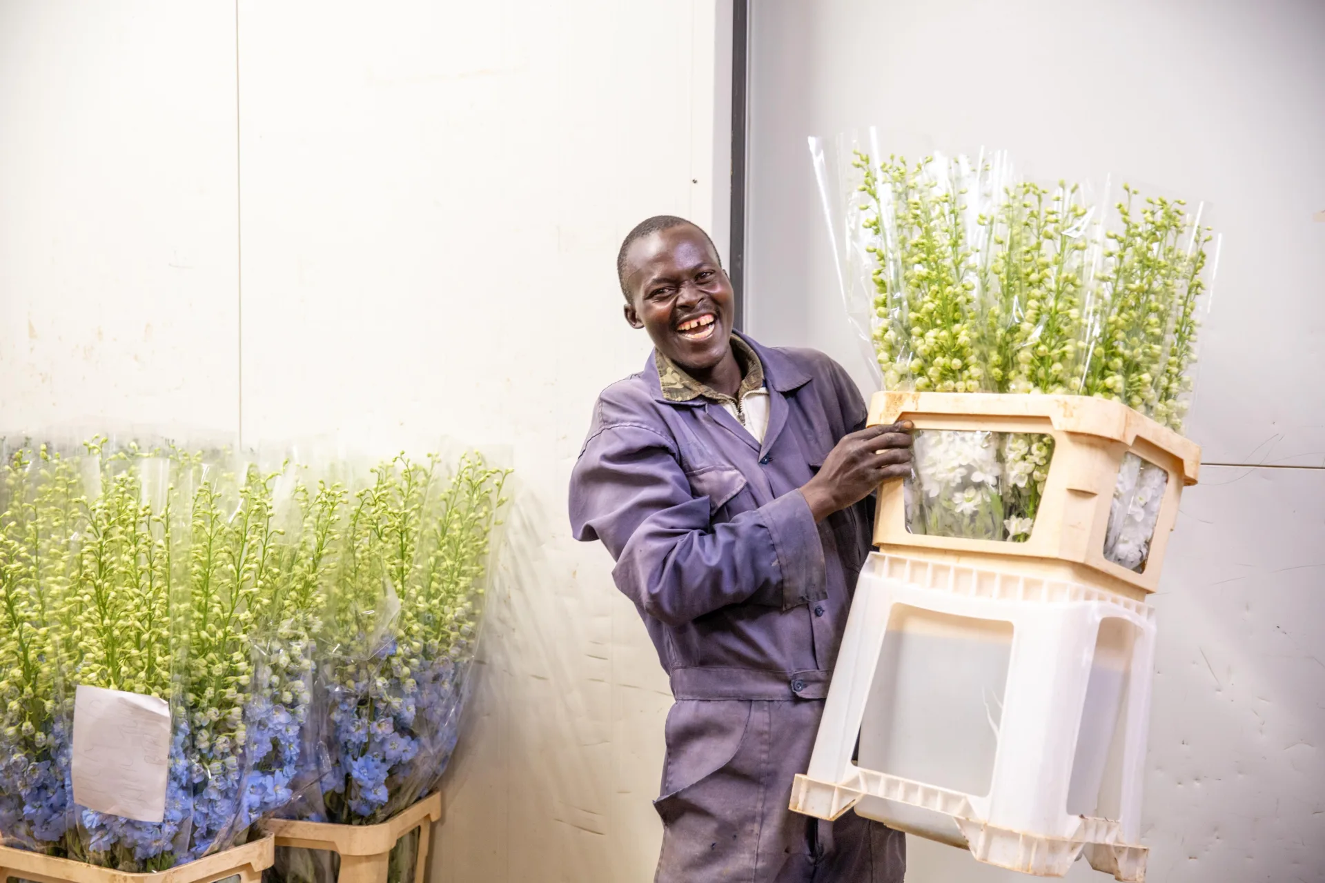 The Flower Hub Gilgil April 2022 Sala Lewis-376