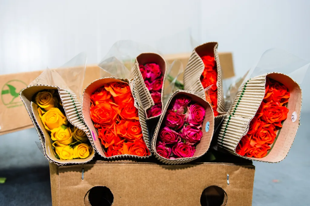 Kenyan Flowers: Why These Are the Go-To Choice for International Florists