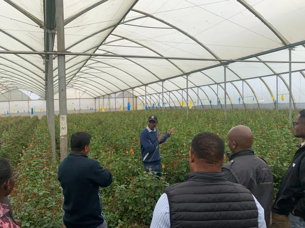 Cultivating Change Together: Inside The Flower Hub’s Regenerative Horticulture Forums 2025