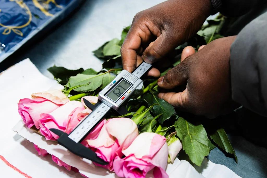 Why Consistency Is Becoming the Most Valuable Currency in Wholesale Flowers