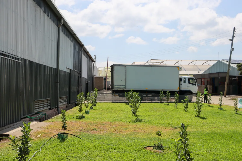 The Real Impact of Transit Time vs Handling Quality on Flower Performance