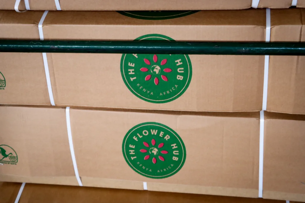 Twenty Years Strong: Celebrating The Flower Hub™’s 20th Year
